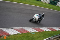 Lower Group White Bikes